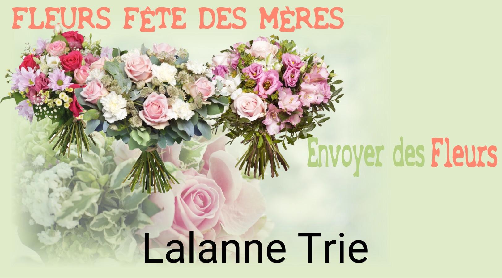 Bouquet de Fête des Mères livré à Lalanne-Trie